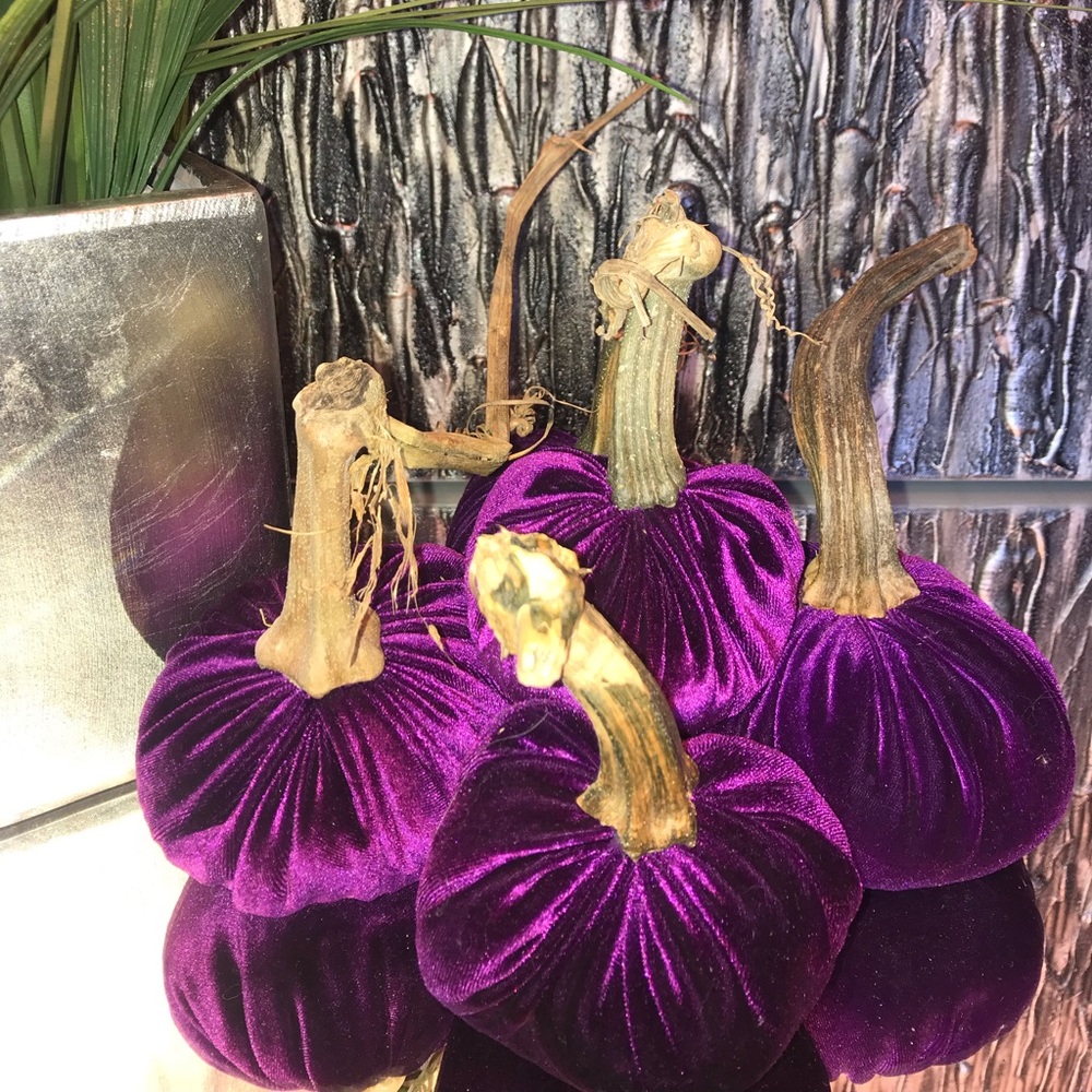 Velvet pumpkins